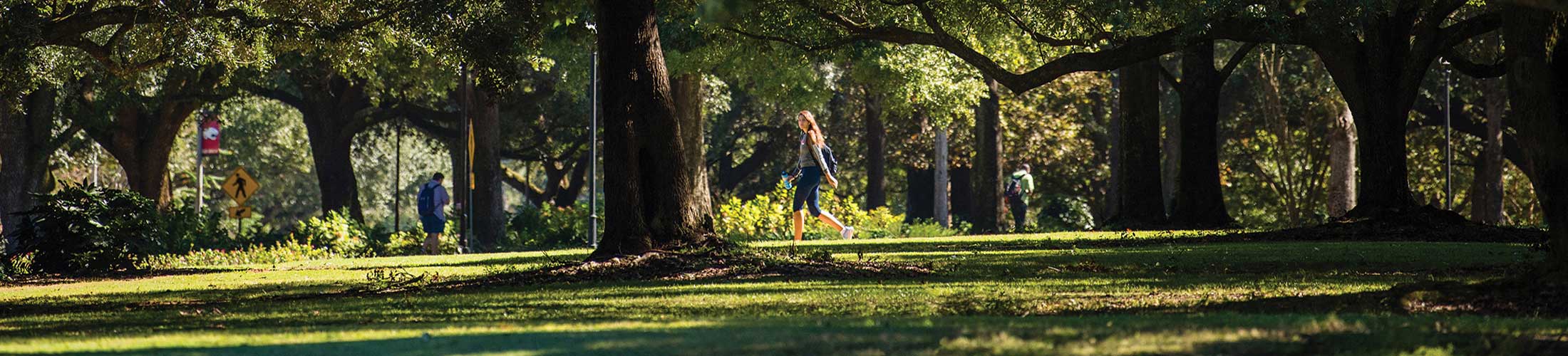 Students walking on campus.