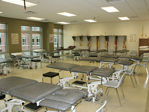 Musculoskeletal Lab