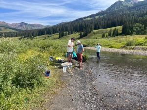 Three students working in a Colorado Stream with the Rocky Mountains in the background and a meadow surrounding the stream