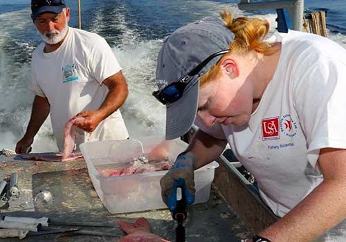 students tagging fish on a boat