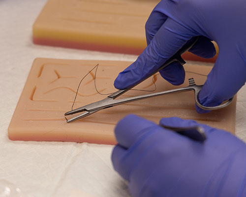 suture suture