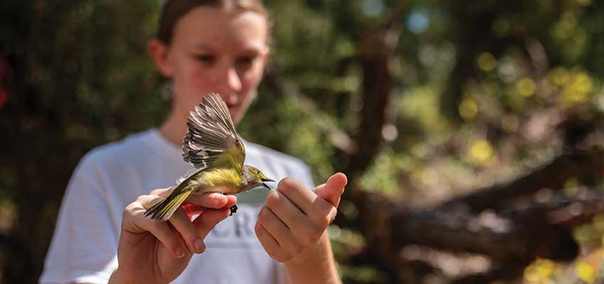 Hands holding a bird. data-lightbox='featured'