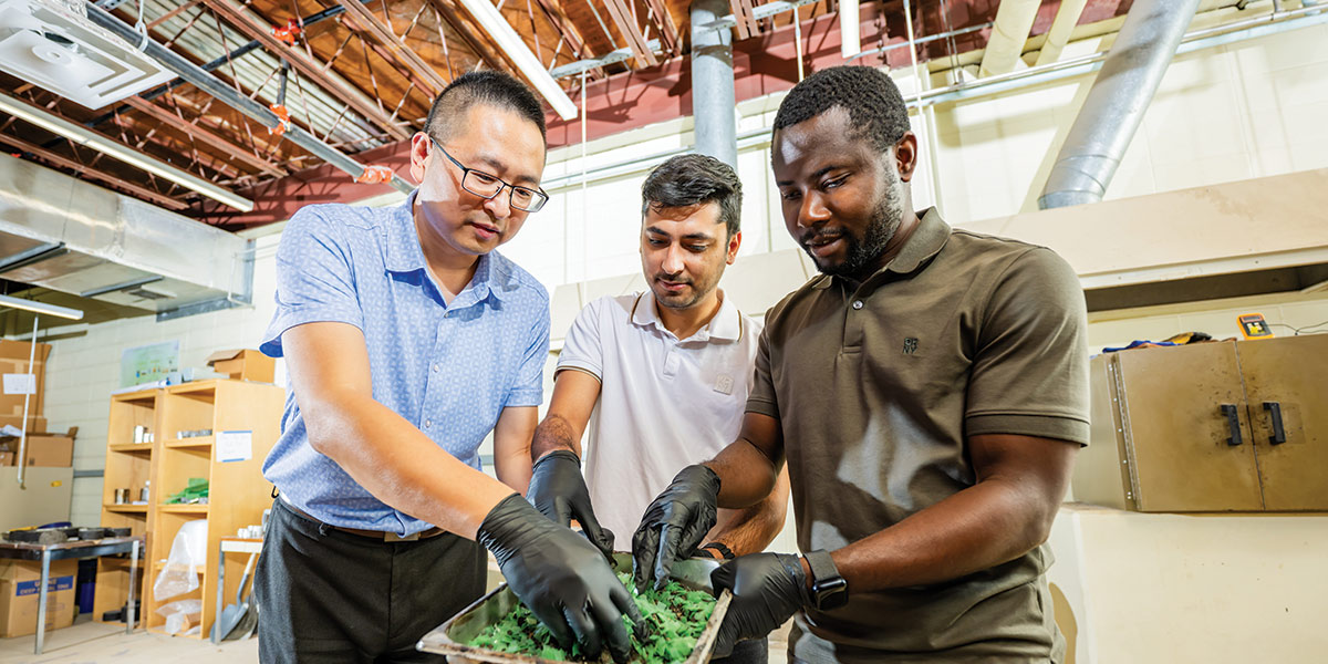 Dr. Shenghua Wu, top left, associate professor of civil, coastal, and environmental engineering, along with graduate student Ashish Gautam, center, and Ph.D student Abeeb Oyelere are researching the use of recycled microplastics to fortify roads when mixed with reclaimed asphalt. data-lightbox='featured'