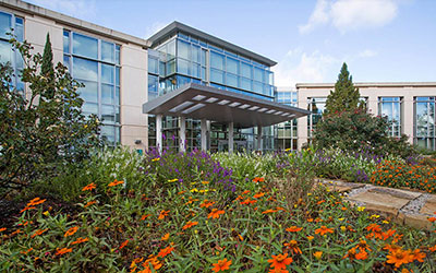 Mitchell Cancer Institute