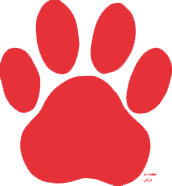 Paw Paw