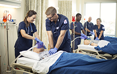 Students working with simulation