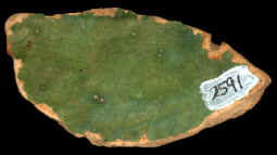 Sample 155 G Saintonge Plain 1MB94 Sample 155 G Saintonge Plain 1MB94