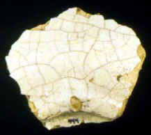 Sample 232 MM San Luis Polychrome 1MB94 Sample 232 MM San Luis Polychrome 1MB94