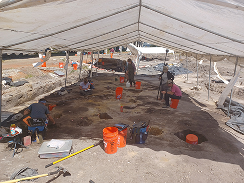 A crew excavates and maps features in a stripped area