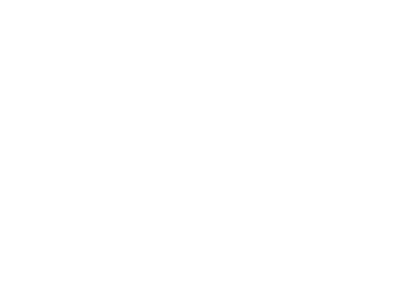 USA Logo